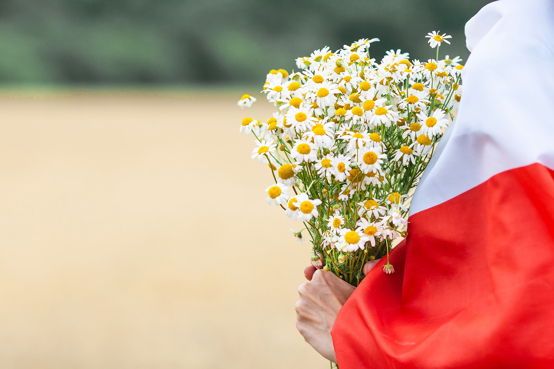 Національний прапор Польщі